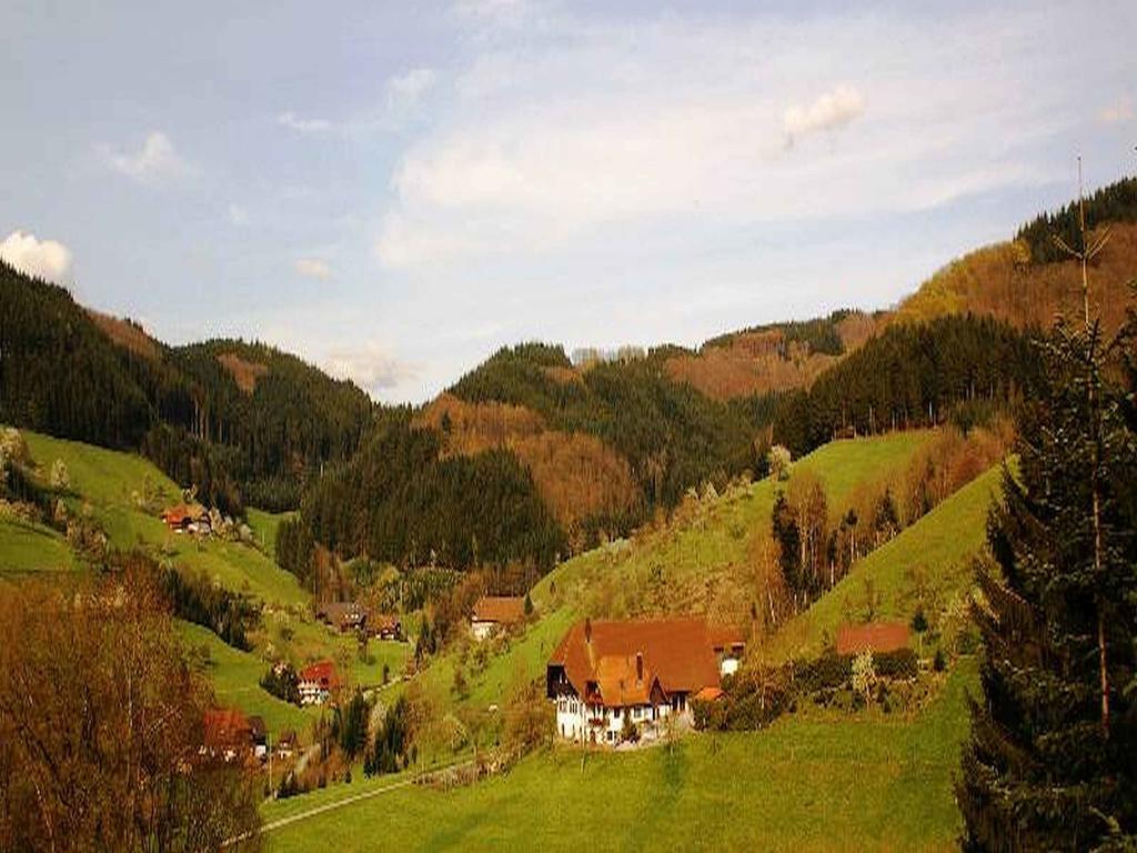 Апартаменты Unterer Gurethshof Целль-ам-Хармерсбах Экстерьер фото
