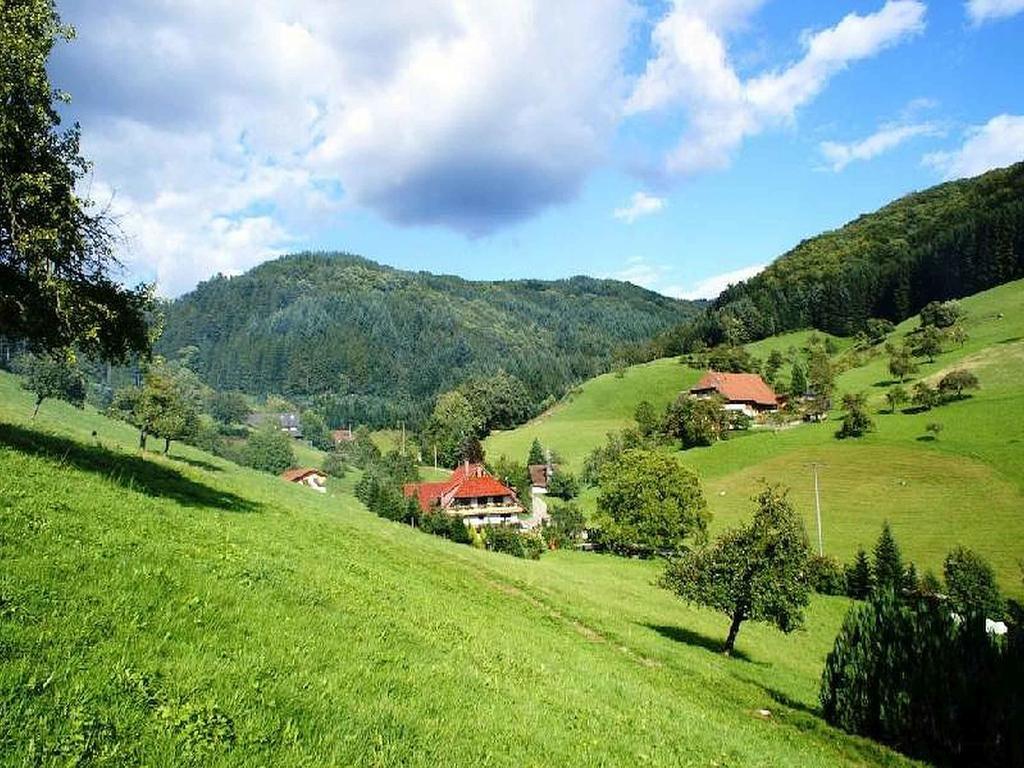 Апартаменты Unterer Gurethshof Целль-ам-Хармерсбах Экстерьер фото
