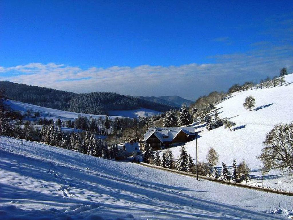 Апартаменты Unterer Gurethshof Целль-ам-Хармерсбах Экстерьер фото