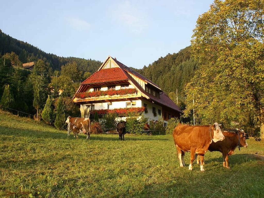Апартаменты Unterer Gurethshof Целль-ам-Хармерсбах Экстерьер фото